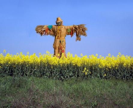 mabon-scarecrow.jpg