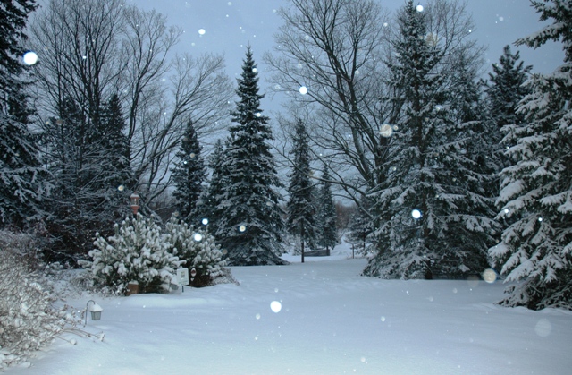 ideas to celebrate winter solstice | Spiritbloggers Blog